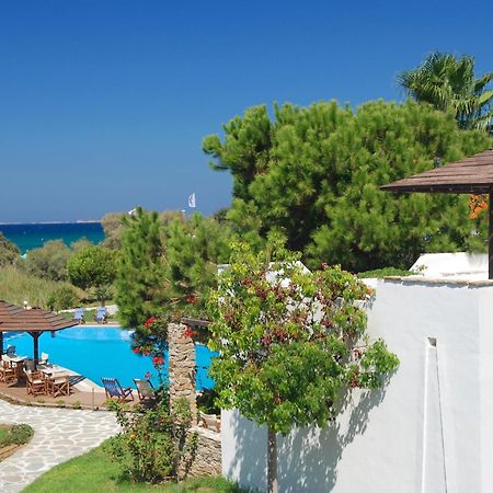 Alkyoni Beach Hotel Naxos City Exteriör bild